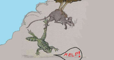 Wicked Frog and Poor Mouse