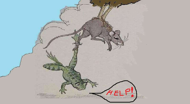 Wicked Frog and Poor Mouse